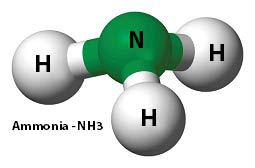 Atomic Structure of Ammonia 