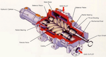 Screw compressor working principle