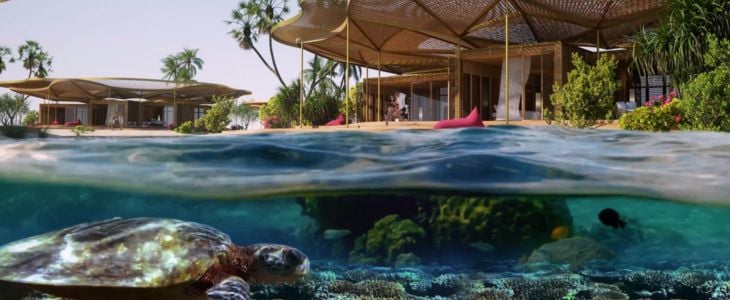 the_red_sea_development